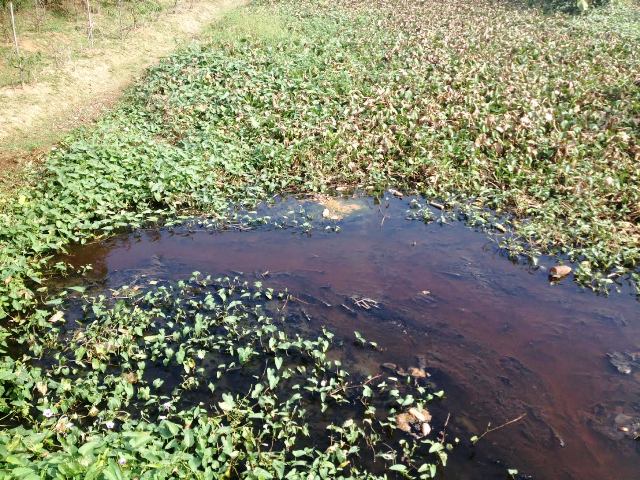 Thông tin từ đường dây nóng